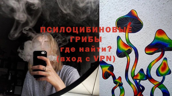 ПСИЛОЦИБИНОВЫЕ ГРИБЫ Бугульма