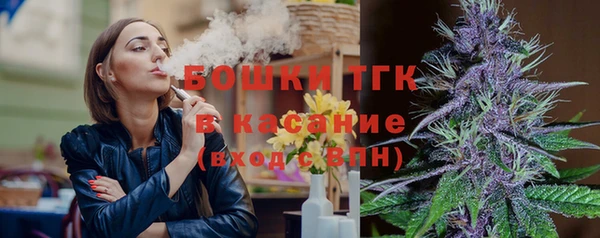 2c-b Бородино
