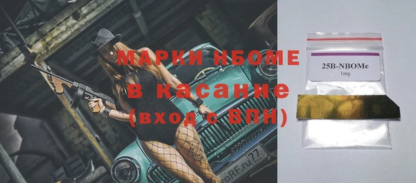 2c-b Бородино