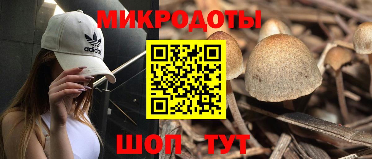 Псилоцибиновые грибы мицелий Медногорск