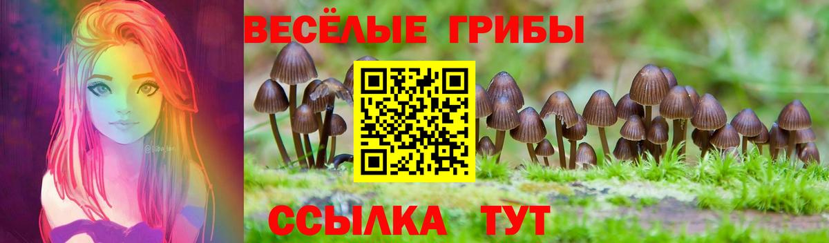 Псилоцибиновые грибы прущие грибы  Вход с VPN  Медногорск 